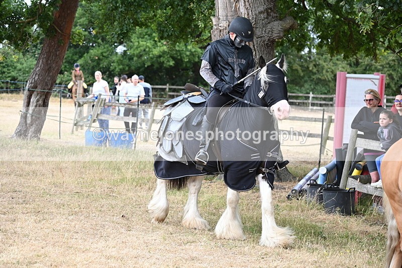WJ6_8908 - Class 11 Fancy Dress