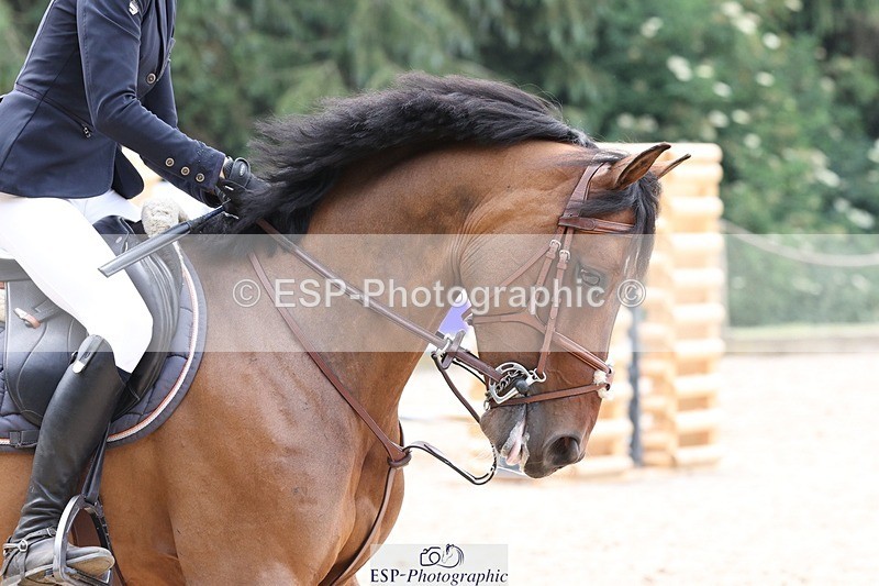 230617-140240-04957 - Cls 09 Blue Chip Pony Newc 1st Rnd