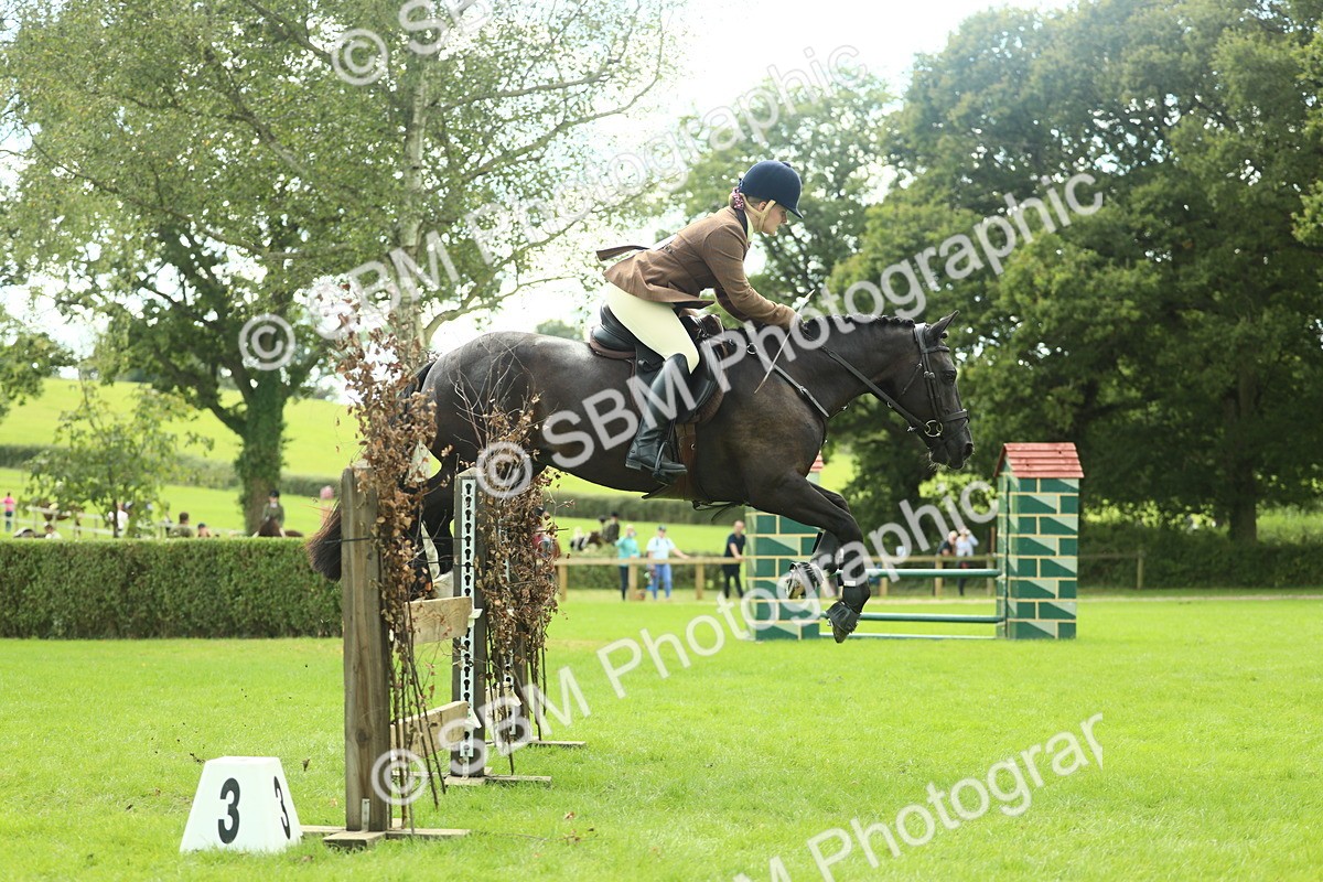 SBM_44769 - S31 - Working Hunter Pony