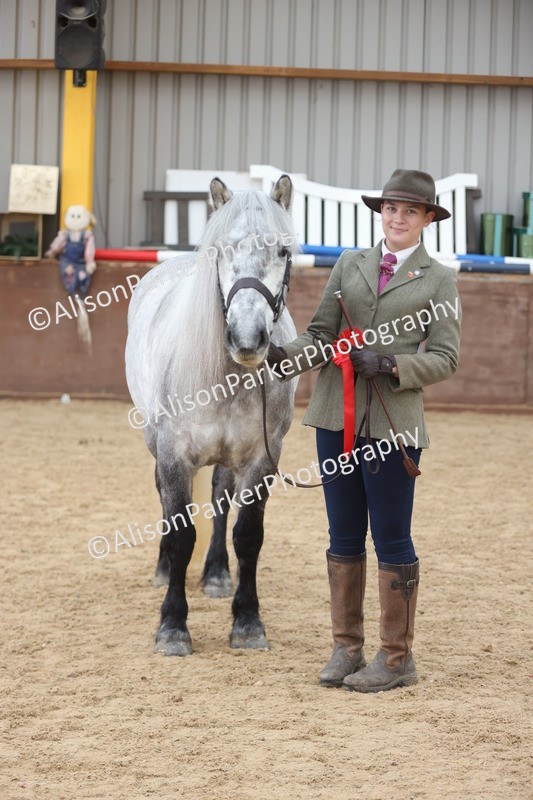 20251109-1049 - Class 28 - Mares 4 Years and over