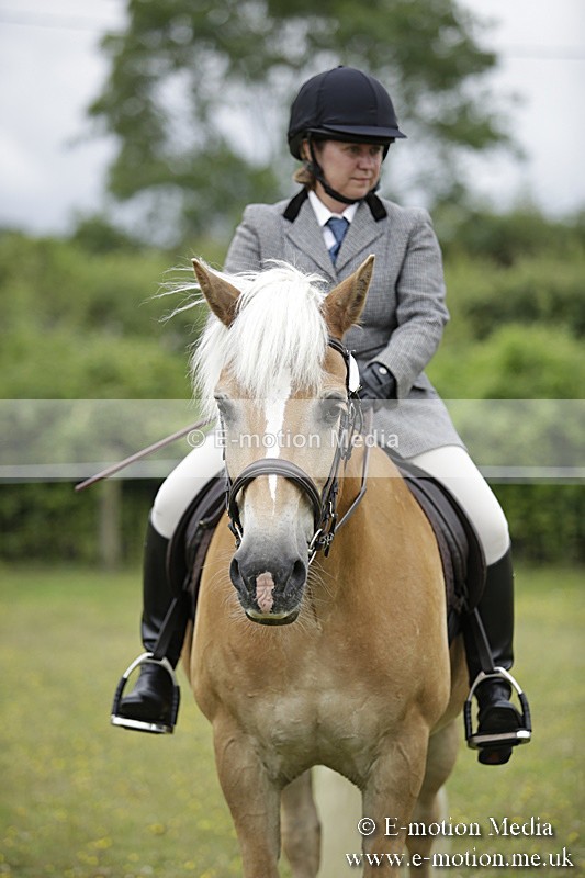 BVR160717-1563 - Ring 1 BVRC Show 16/07/17