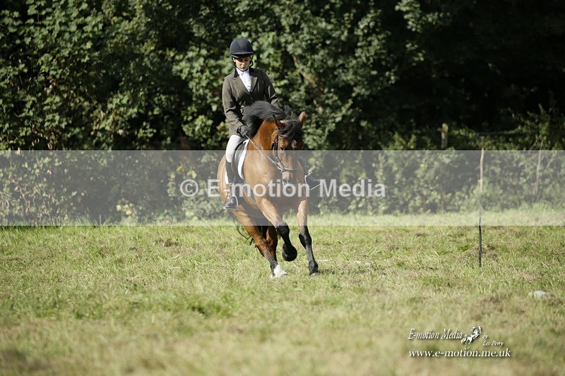 BVRC 120921 331 - Bourne Valley Riding Club UA Dressage & Show Jumping 12/09/21