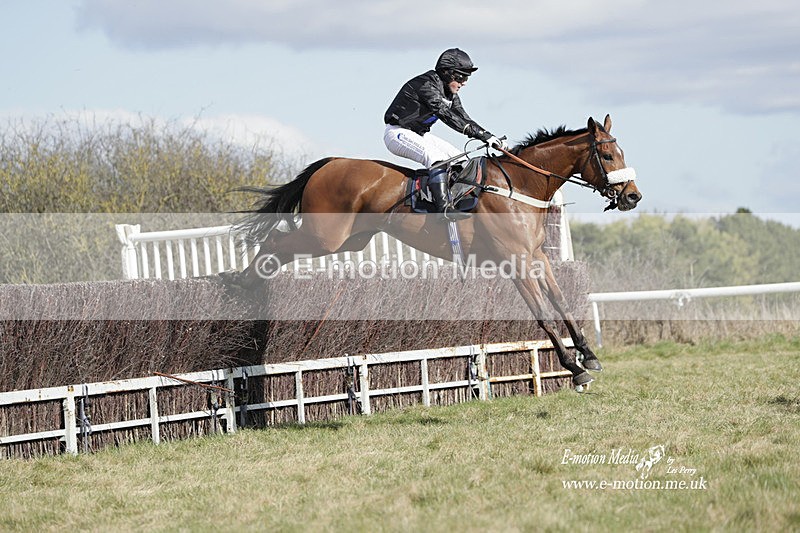 PtP 260223 459 - South & West Wilts Point-to-Point Larkhill 26/02/23