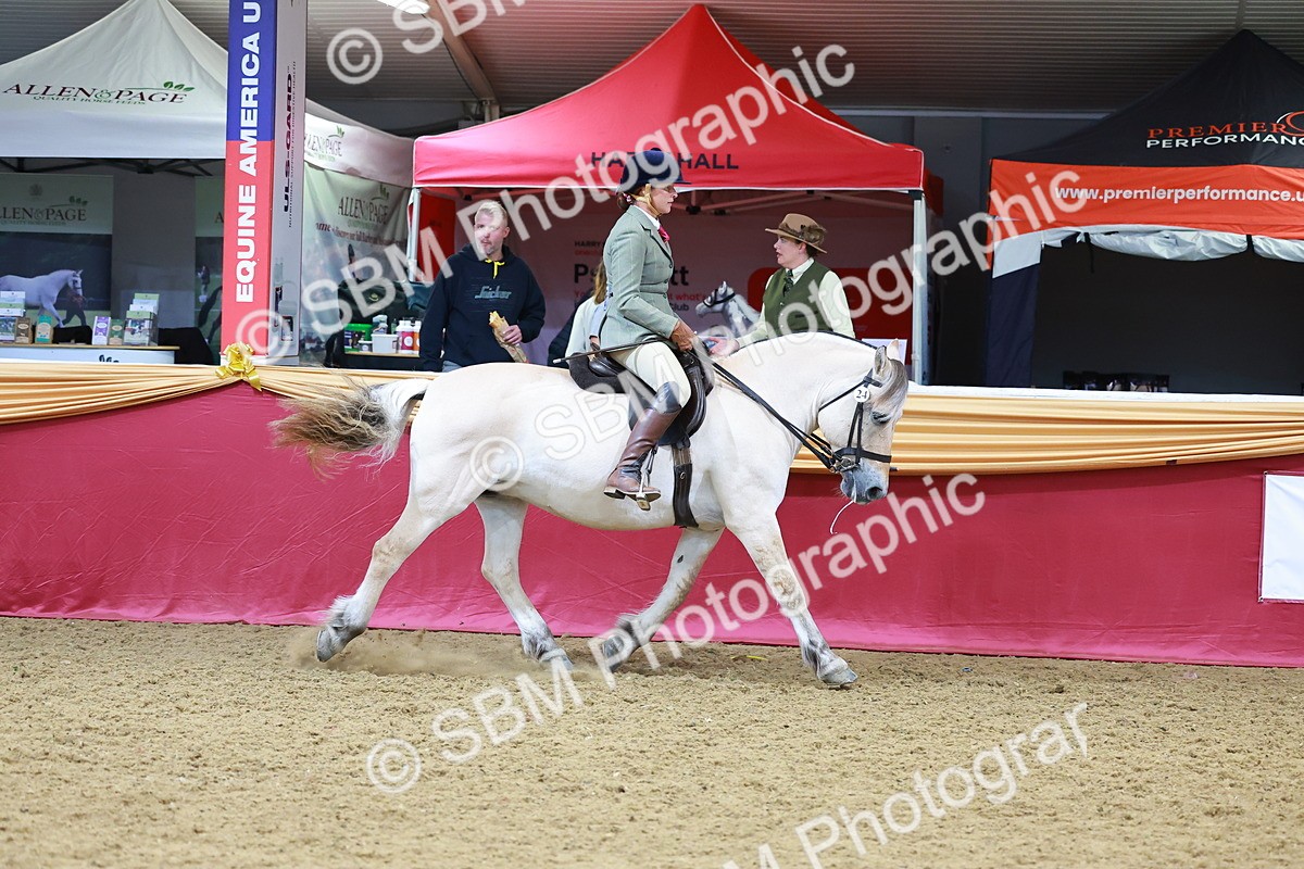 SBM_06401 - Regional Ridden Championship