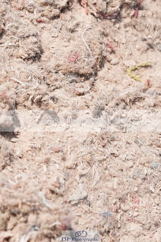 250503-112116-00635 - Cls 19+20 Club and Schools 70cm