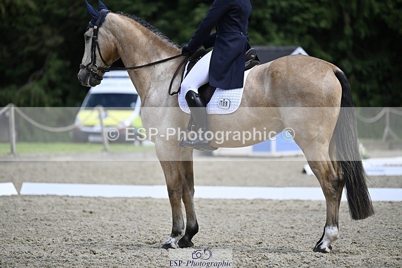 240523-133511-04834 - 109-MJM_BOBBY_DAZZLER-Rosie_Ringer