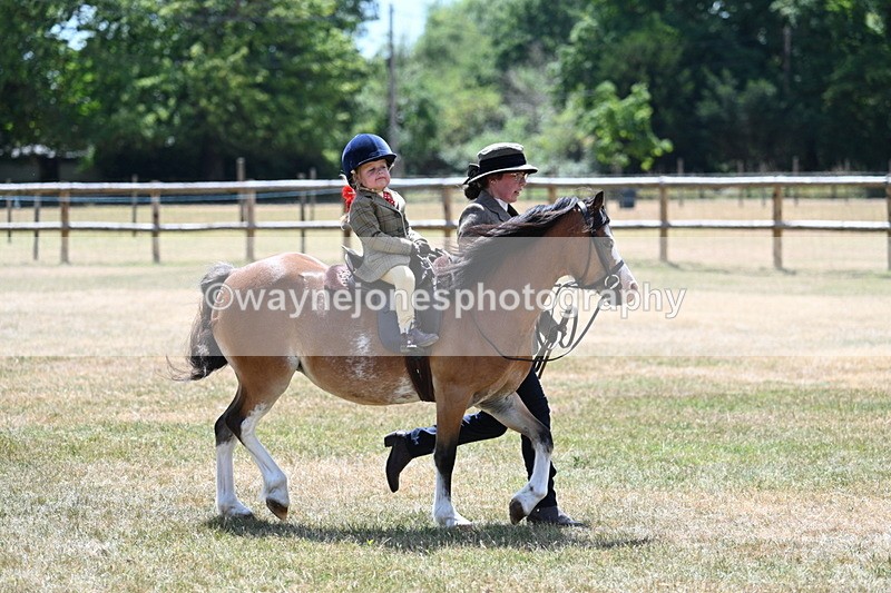 WJ7_2675 - Class 6 Ridden Mountain and Moorland