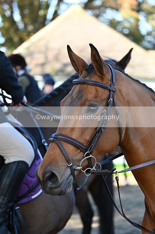 WJ7_0634 - Meet
