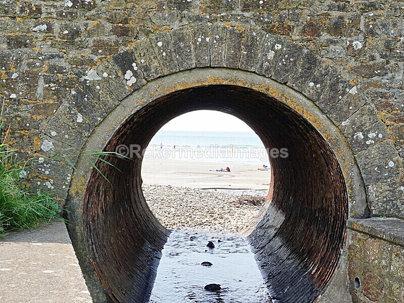 DSC00151 - Skomer 2019