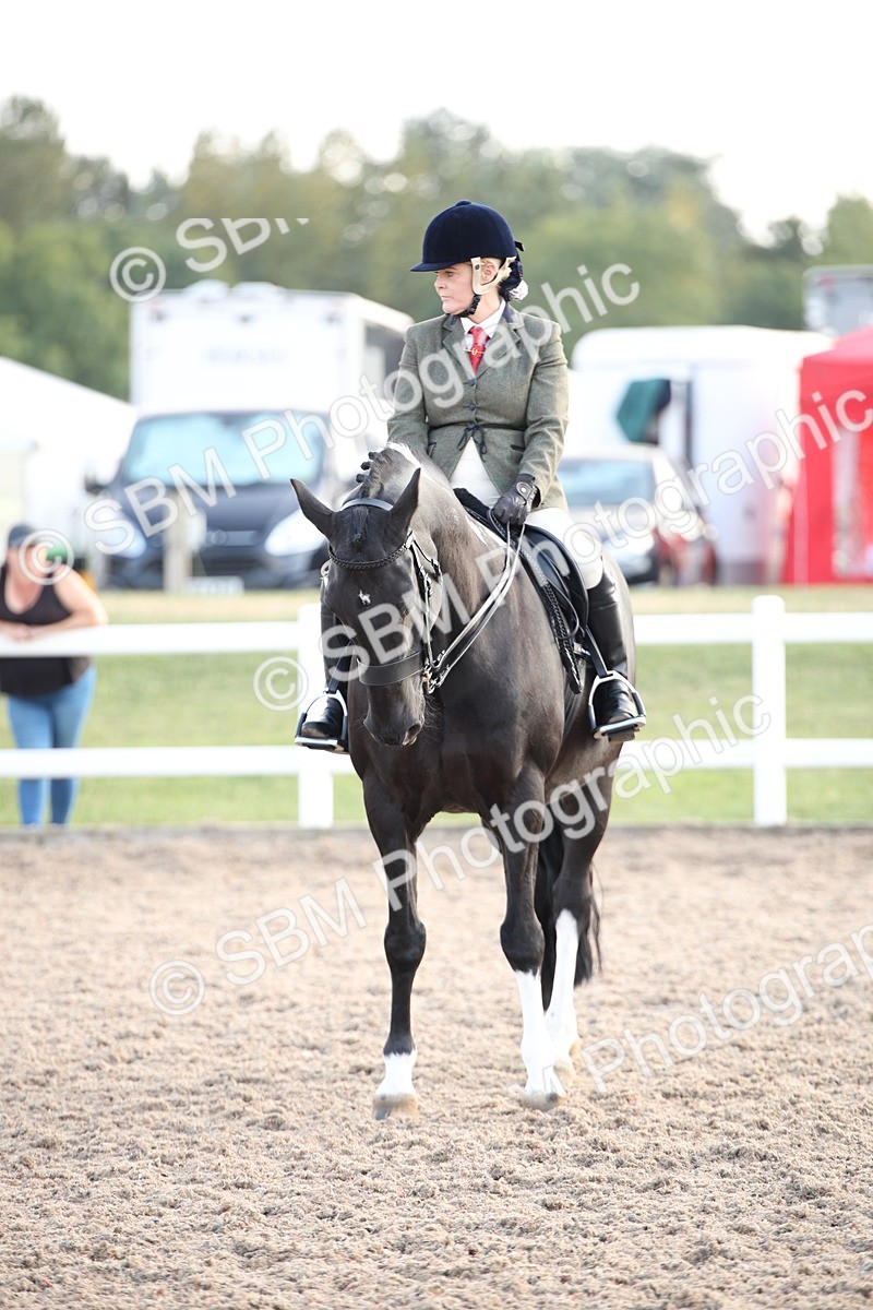 SBM_08857 - Class 12R Regional Ridden Pre-Vet