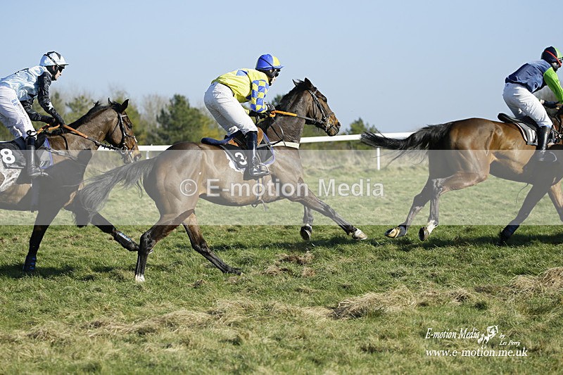 PtP 270222 215 - South & West Wilts Point-to-Point Larkhill 27/02/22