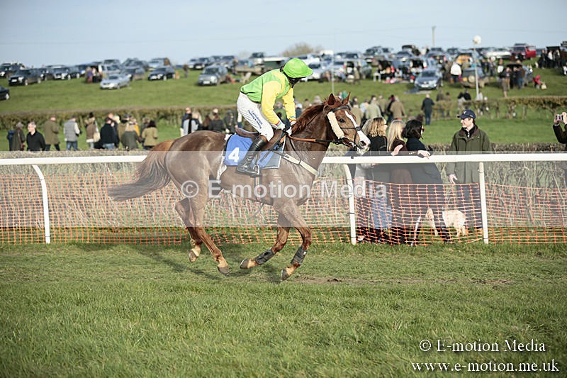 PtP 230319 527 - VWH Hunt Siddington Point-to-Point Racing 23/03/19