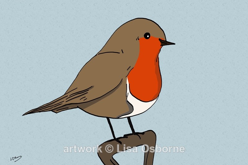 Robin - DIGITAL ARTWORK
