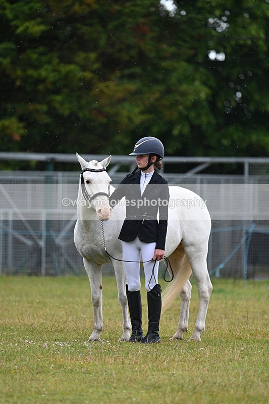 WJ7_5787 - Class 4 Prettiest Mare in Hand