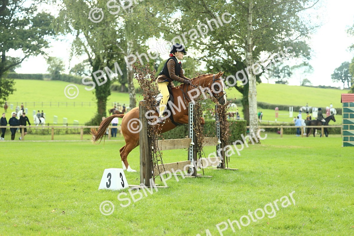 SBM_44637 - S31 - Working Hunter Pony