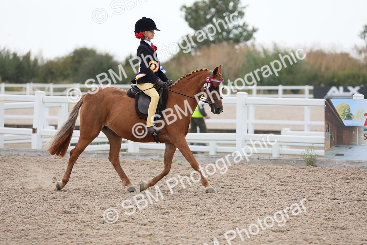 SBM_18267 - Class 316 Best Pony/Rider Combination
