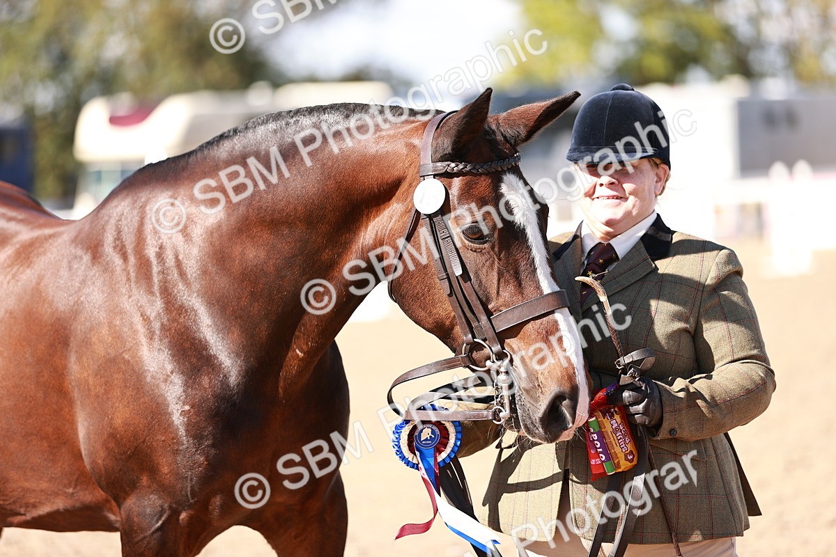 SBM_13252 - Class 405 - IH Show Cob