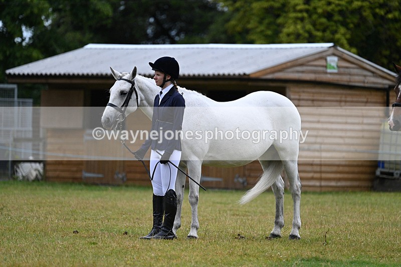 WJ7_6210 - Class 4a Prettiest Mare over 14hh