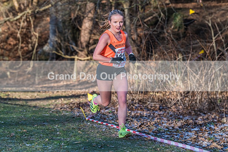 Cumbria XC-543 - Cumbria Cross Country Championships (Junior & Senior Races) Saturday 3rd January 2026