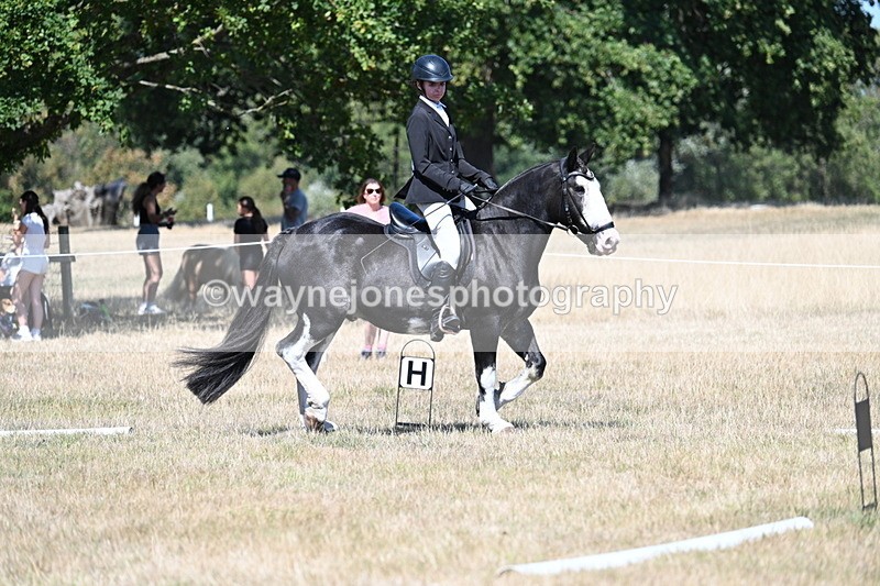 WJ7_0932 - Time 12:34 to 12:47