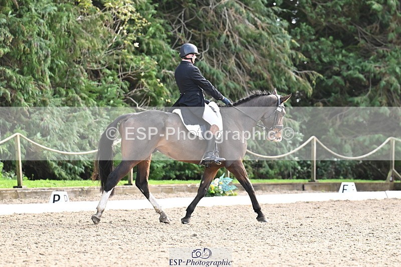 251023A-141947-05207 - C-246-Simon.Vatcher