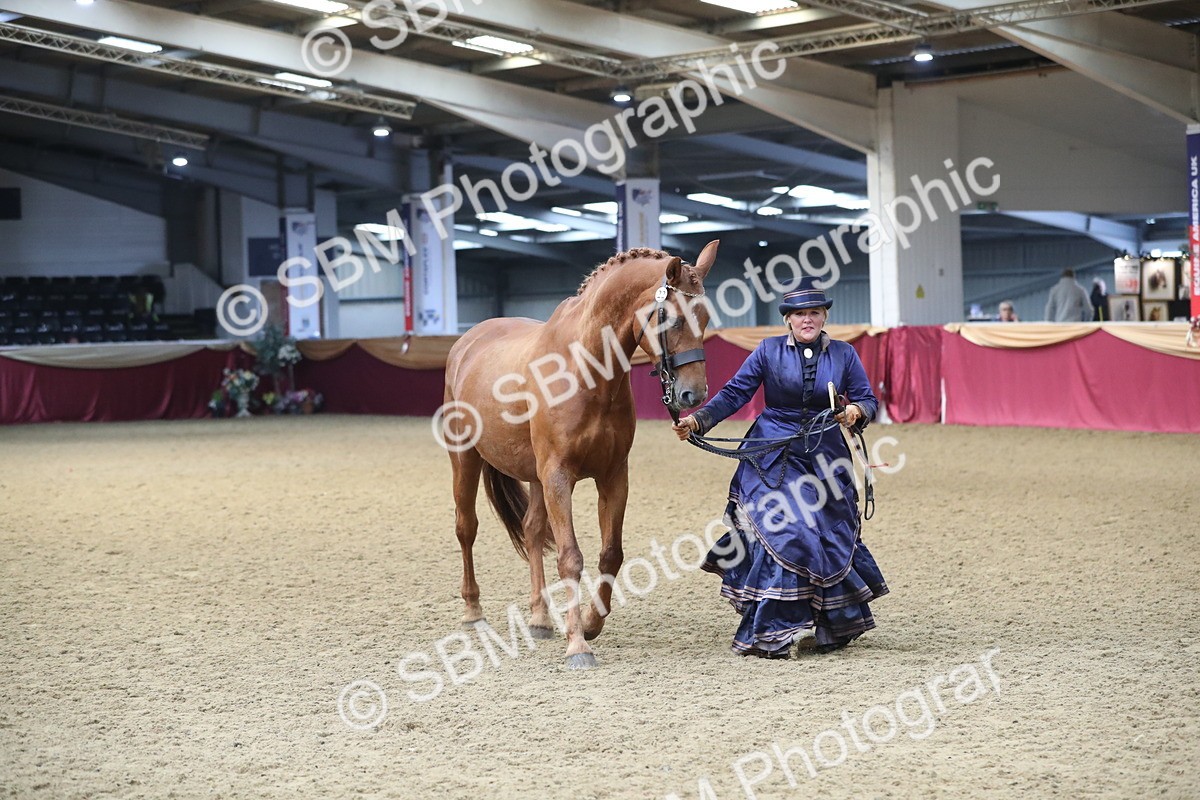 SBM_10801 - Class 103 IH Costume