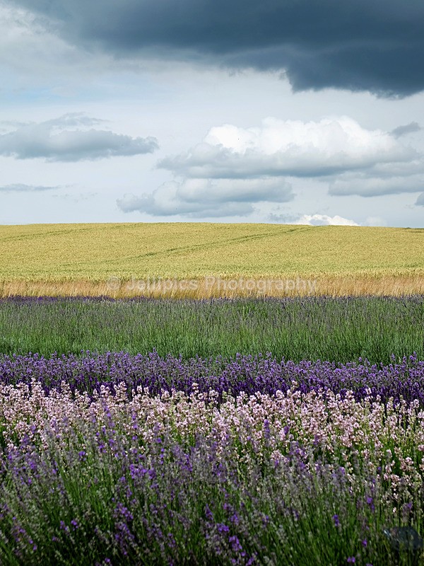  - Landscapes