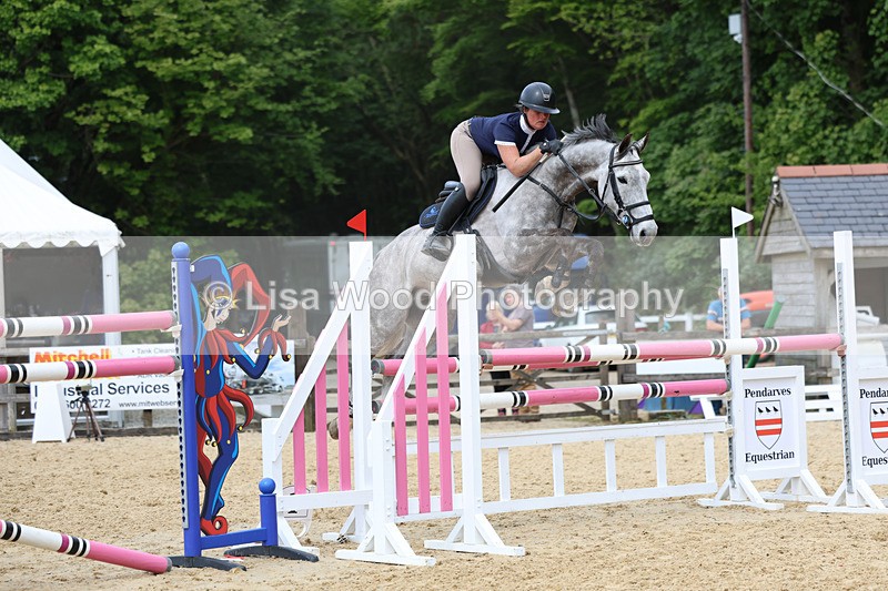3E7A7403 - Class 8: Senior Foxhunter/1.20 open