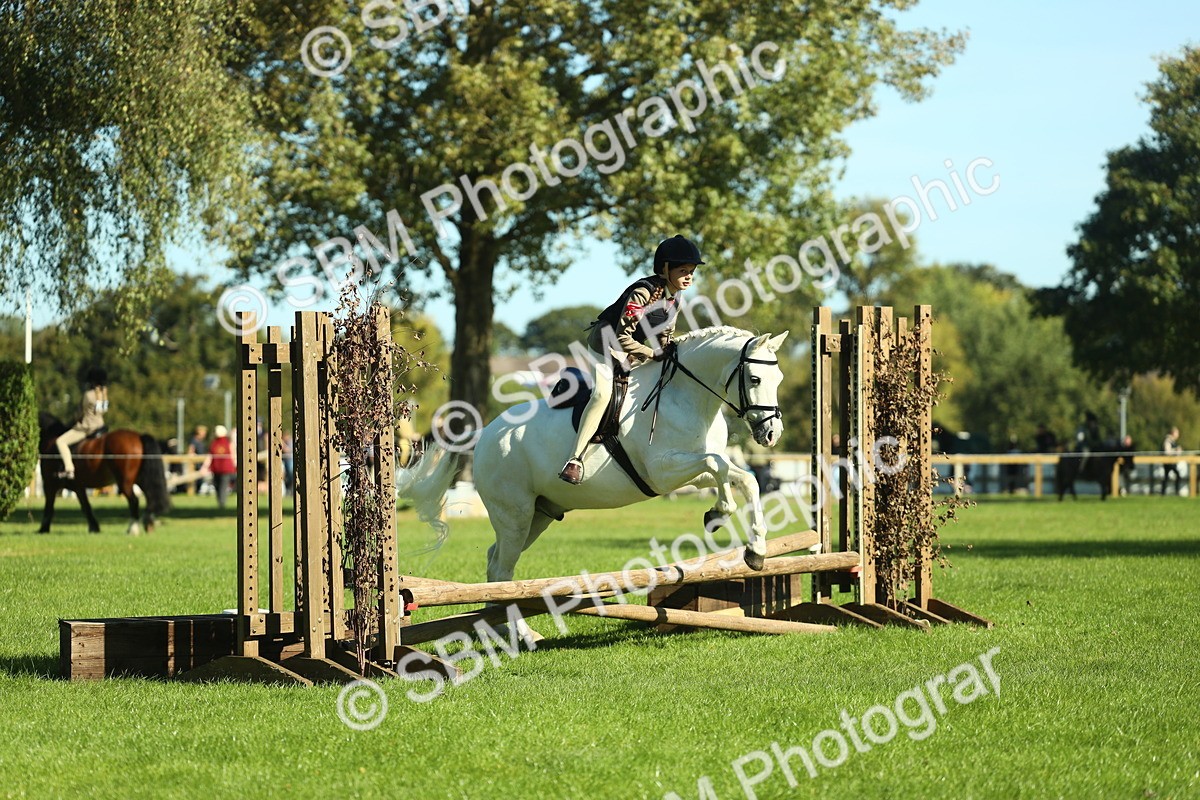 SBM_37496 - S29 - Novice & Newcomers Working Hunter Pony