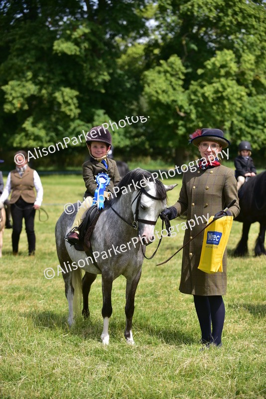 20260614-1287 - Class 11a - Lead Rein Pony (Unplaited)