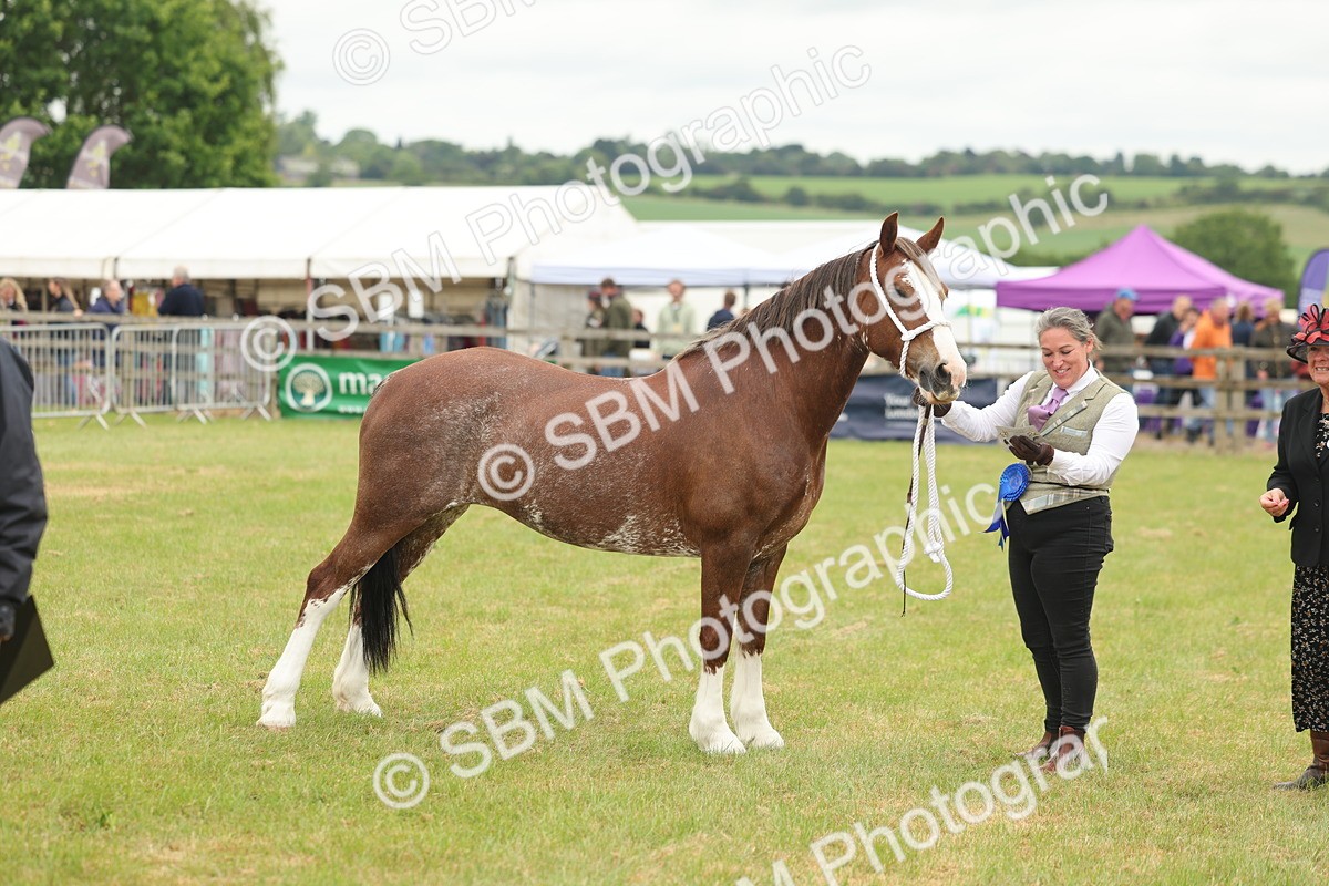 SBM_02416 - Class 50-57 - M&M Welsh Pony In Hand