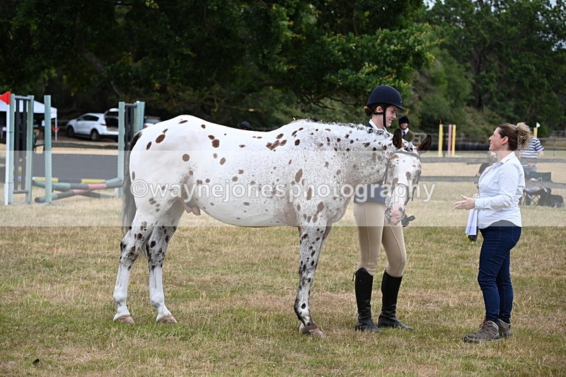 WJ6_4268 - Class 10 Coloured In-hand
