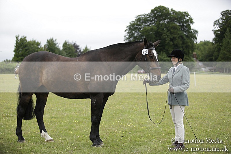 BVR160717-721 - Ring 2 BVRC Show 16/07/17