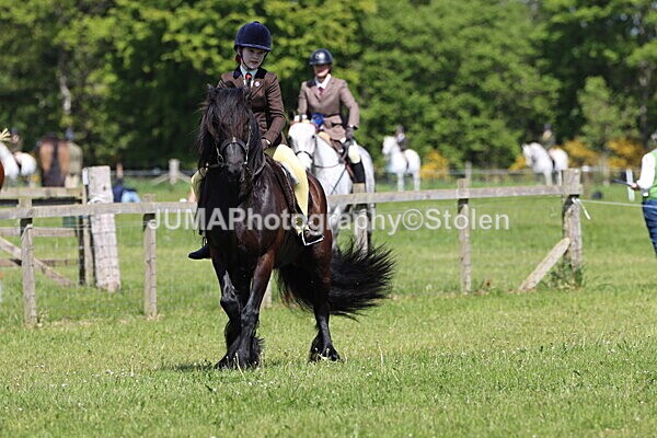 IMG_4282 - Working Hunter
