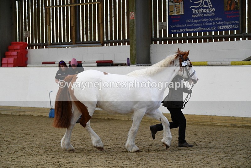 WJ5_5073 - Class 7 In hand coloured / odd coloured