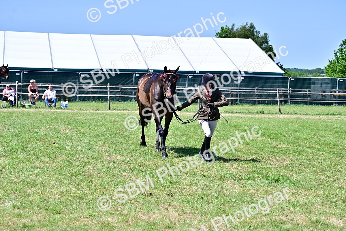 SBM_18174 - Class 99-100 - Retraining of Racehorses Ridden