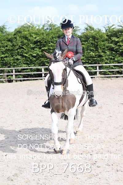 BPP_7668 - RING 1  (RIDDEN HORSES / IN HAND / VETERAN ETC)