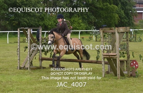 JAC_4007 - 40CM WORKING HUNTER