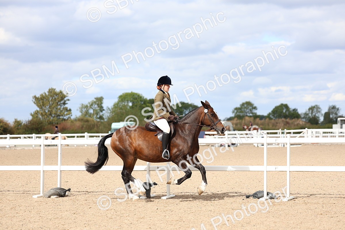 SBM_15787 - Class 314 - Family Horse - Pony