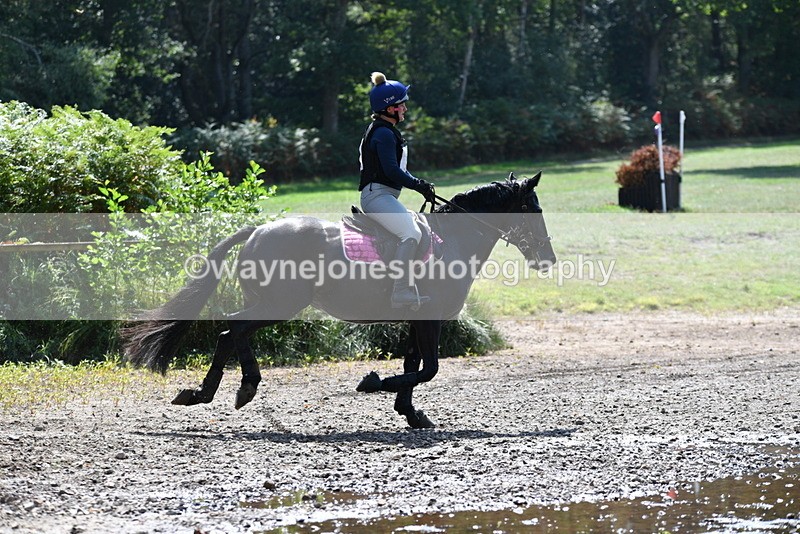 WJ5_3298 - XC Time 13:30 to 14:00