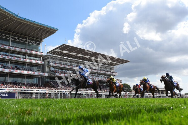 yr20082022r1-34 - Race 1 1.50pm Sky Bet & Symphony Group Strensall Stakes