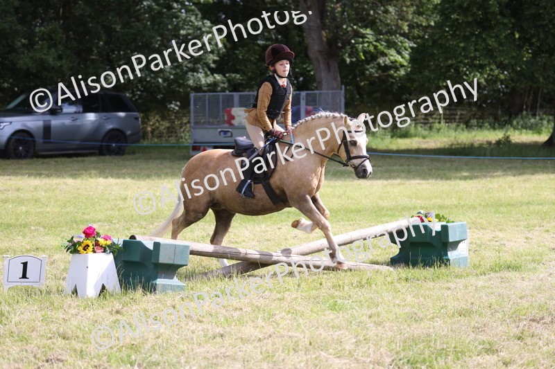 20260614-0446 - Class 20 - Beginners Working Hunter Pony