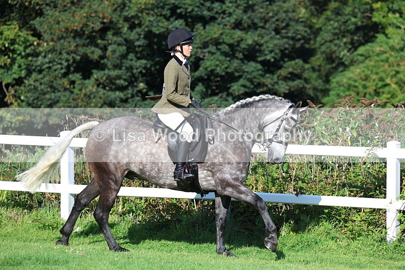 3E7A7582 - Class 1: Novice Working Hunter Pony