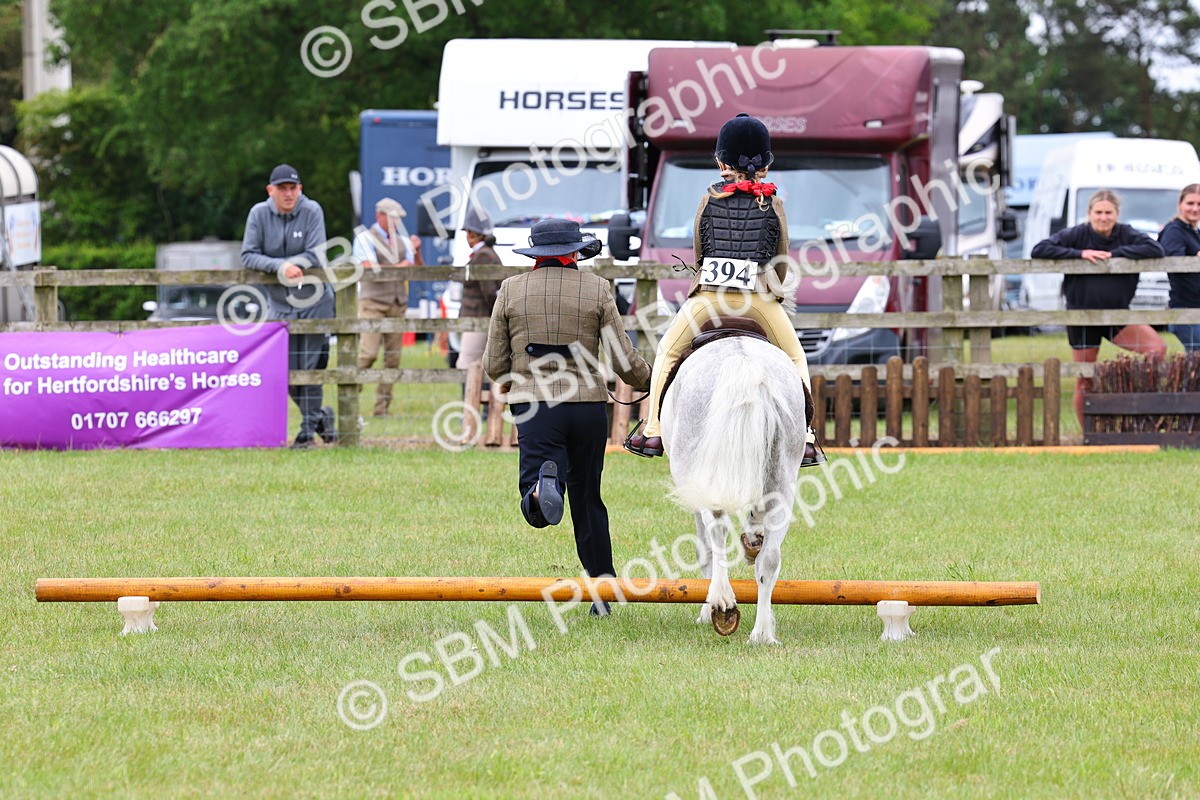 SBM_08202 - Class 42-43 - LIHS BSPS Heritage Working Sports Pony