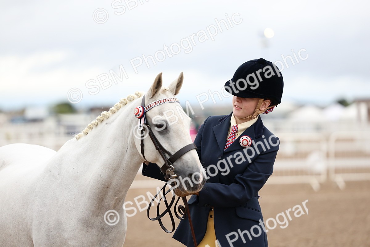 SBM_00262 - Class 13 - Young Handler