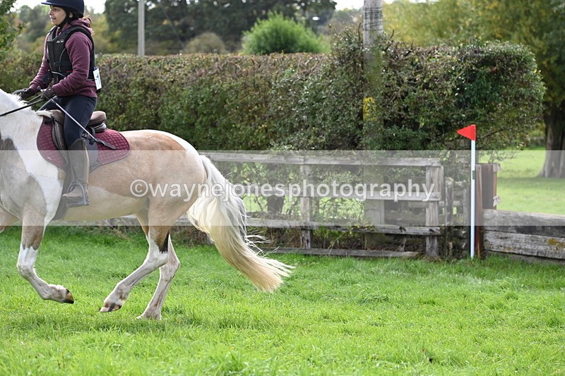 WJ6_3419 - Time 12:03 to 12:37