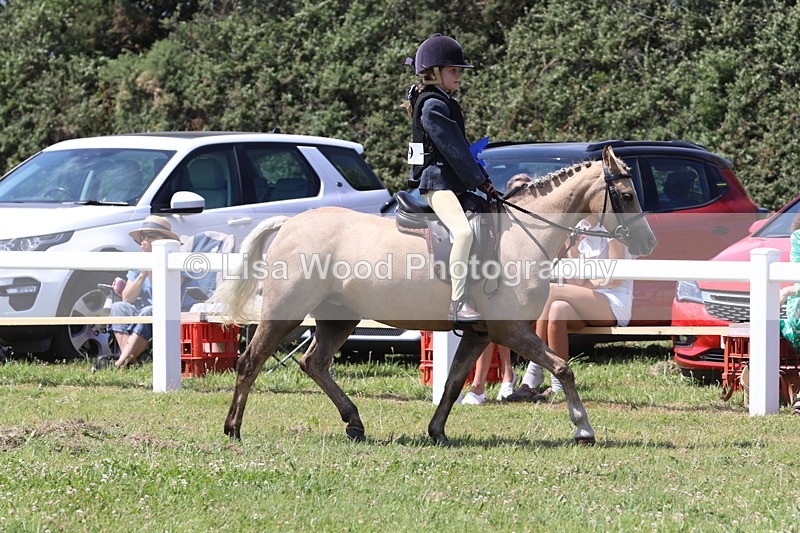 JPP_2396 - Class 20: Tiny Tots Working Hunter Pony