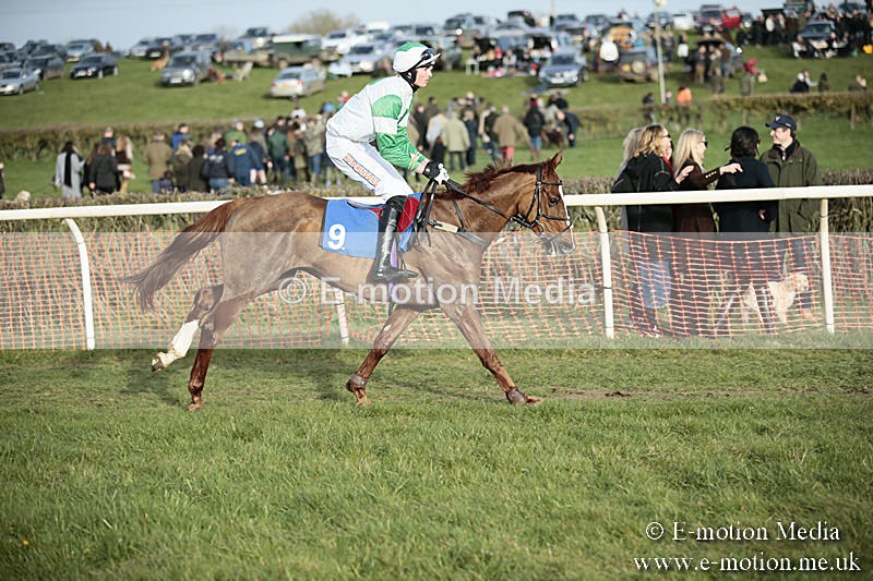 PtP 230319 514 - VWH Hunt Siddington Point-to-Point Racing 23/03/19