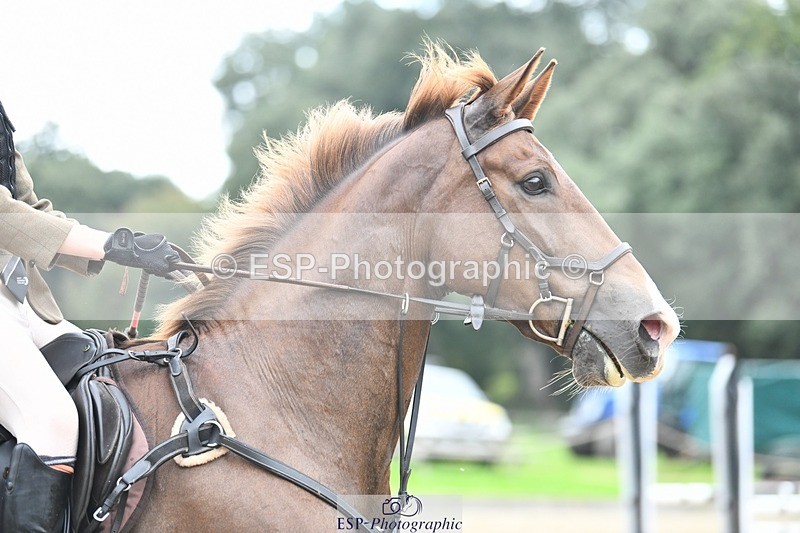 231001-143013-02916 - Cls 3 90cm