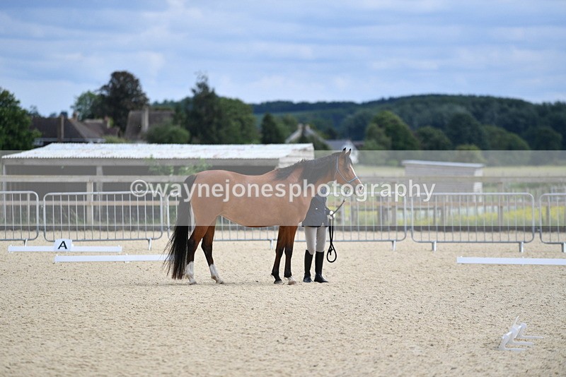 WJ5_7395 - Time 15:39 to 16:08